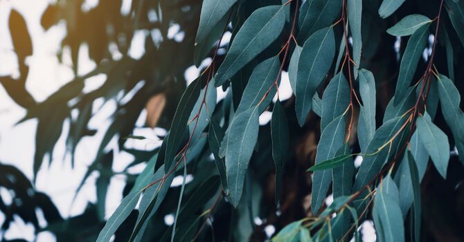 The Importance of Checking Your Smoke CO Detector