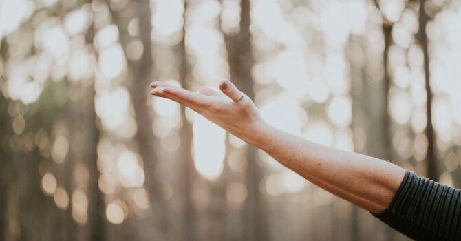 Why Safety Policies and Procedures Matter image