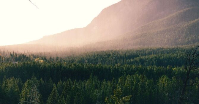 The Importance of Checking Your Smoke CO Detector