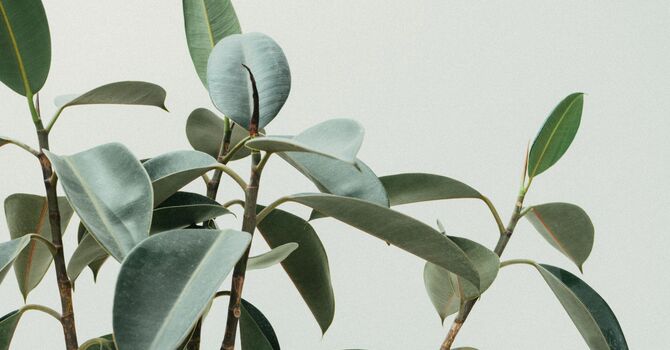 The Importance of Checking Your Smoke CO Detector